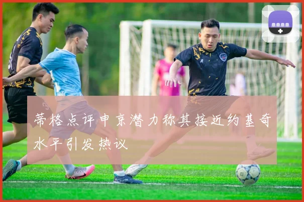 蒂格点评申京潜力称其接近约基奇水平引发热议